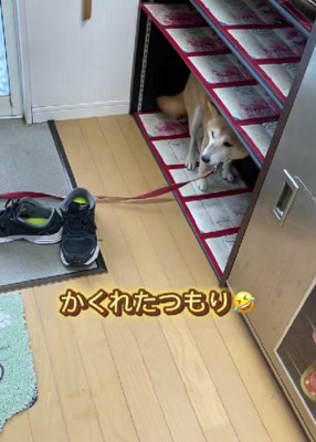 最終的に選んだ避難場所は…