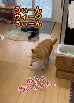 音が聞こえて再び逃亡