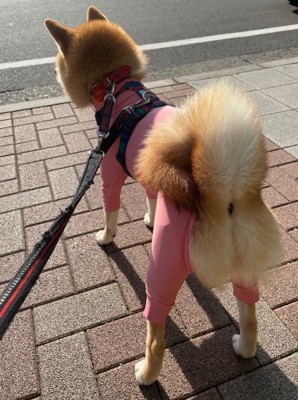 スタイルのよさが際立ってる♡