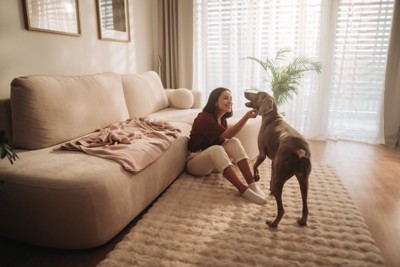 部屋で犬の顎を触る女性