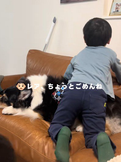 「ちょっとごめんね」