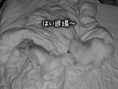 ぬいぐるみを引きずるレオくん