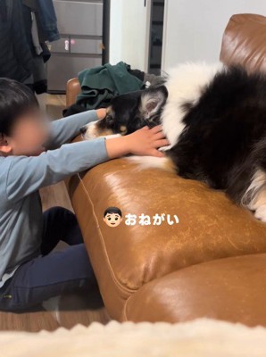 「ちょっとどいてね」