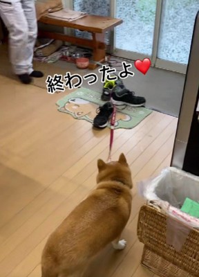 心温まるワンシーンでした
