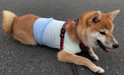 色々なカラーにトライ♪