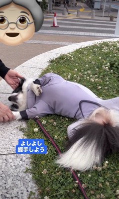 ウットリ…
