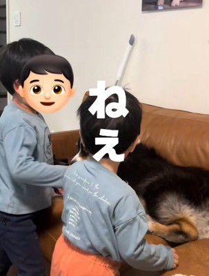 兄弟そろっておねがい