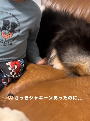 おもちゃの剣がなくなった！