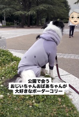 「あの人たちは…！」