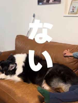 剣はない様子…