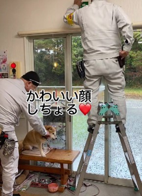 「大丈夫だよ」