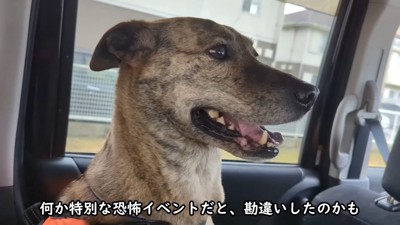「怖いよ！助けて～」