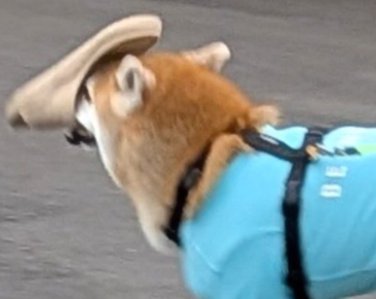 サンダル