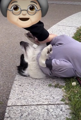 「またあそぼっ」
