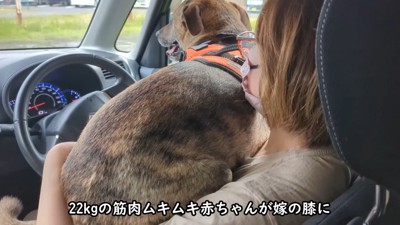 「ママ、助けて～」とお膝の上へ