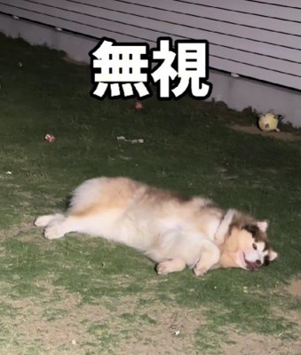 深夜2時の奇行!?