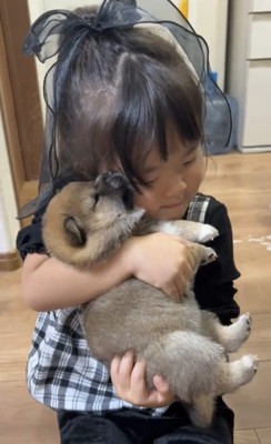 子犬に頬を寄せる女の子