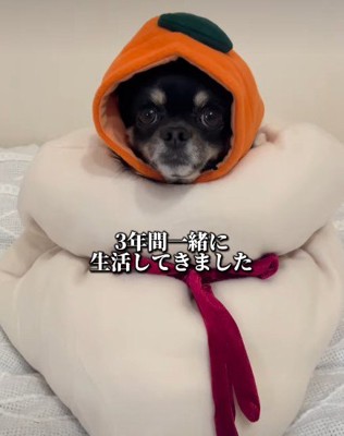 思い出を積み上げて…