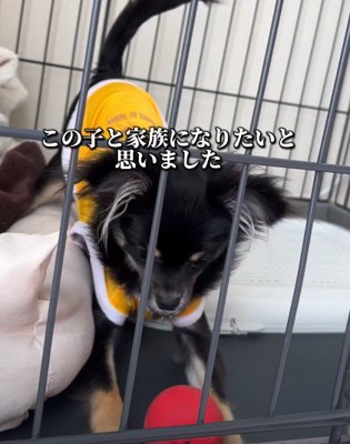 少しずつ変化が…