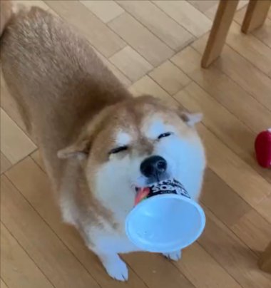 ニコニコ