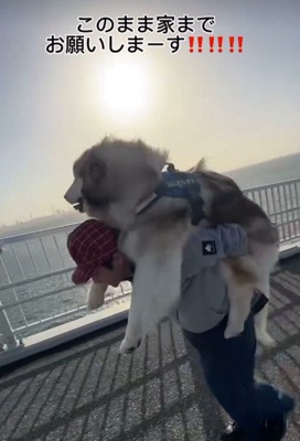 絶景を堪能する紅ちゃん