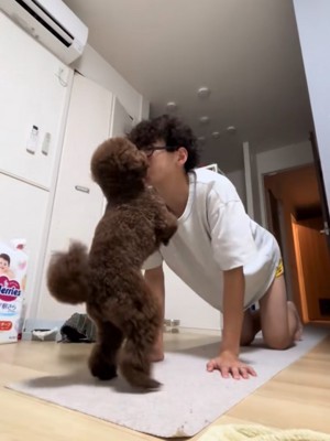一緒に遊ぶ男性と犬2