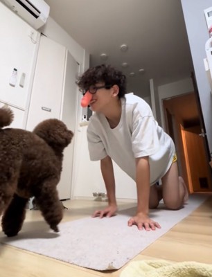 一緒に遊ぶ男性と犬