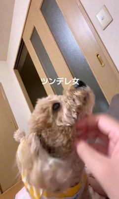 急に甘えん坊モードに♡