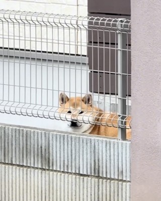 自分の時間、たいせつ!