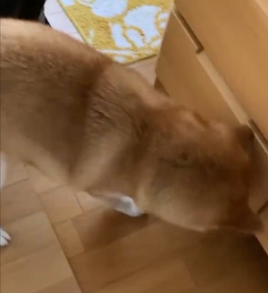 落とす