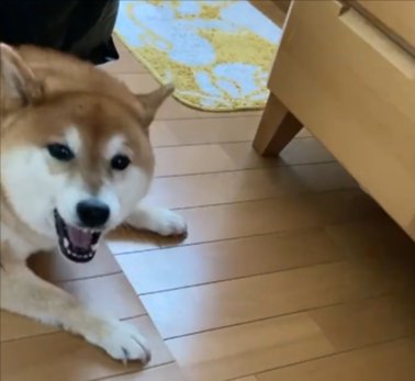 ハッ