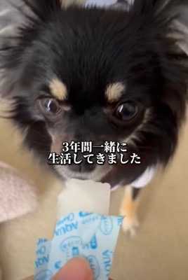 絆が育まれていく
