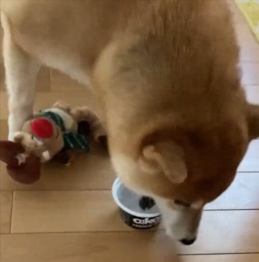 救出