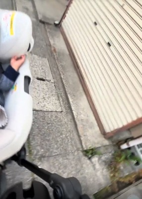 お散歩中