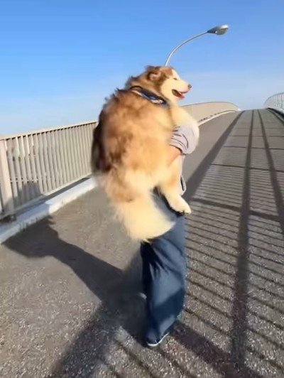 あまりにも大きい…!!