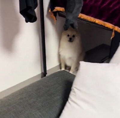 警戒心MAXのポンタちゃん