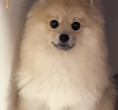 銅像のように固まっちゃった！？