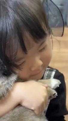子犬を抱きしめる女の子