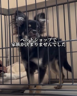 家族がなかなか決まらなかった