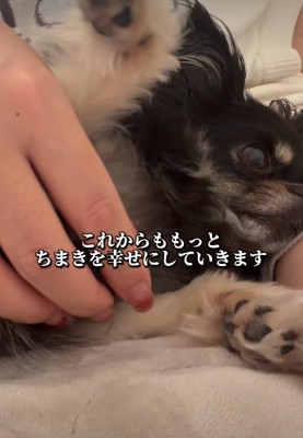 これからも幸せにね