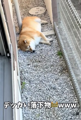 通路を完全封鎖