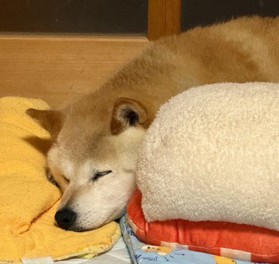 ぐっすり