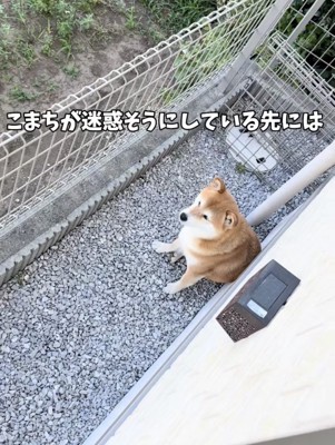 「困ったわぁ」