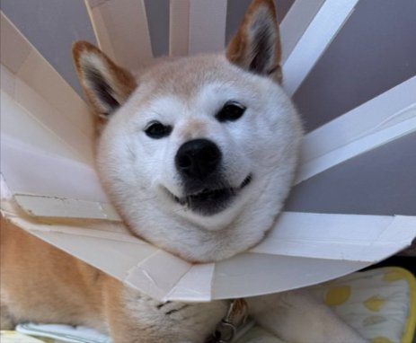 普段