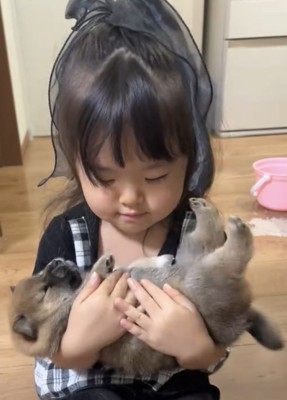 子犬を両手で包む女の子