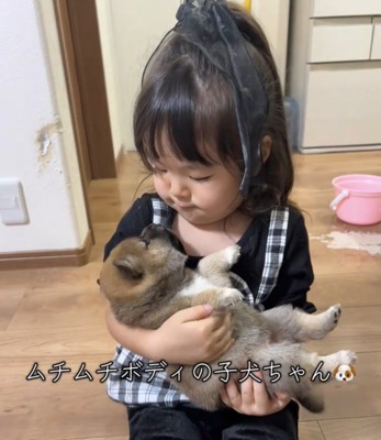子犬を見つめる女の子