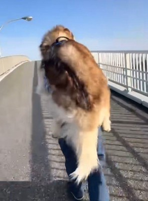 おんぶで進むことに…