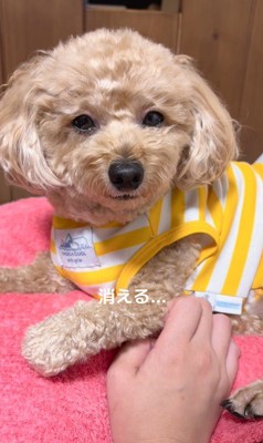 目から光が消えました…