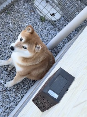 「どうにかならない?」