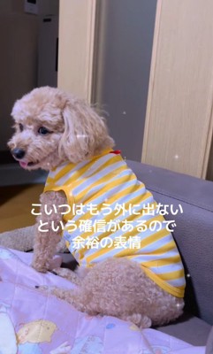 とっても嬉しそうなお顔♪